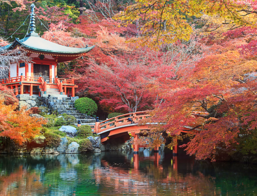 Fall in Love with These Top 10 Autumn Travel Destinations