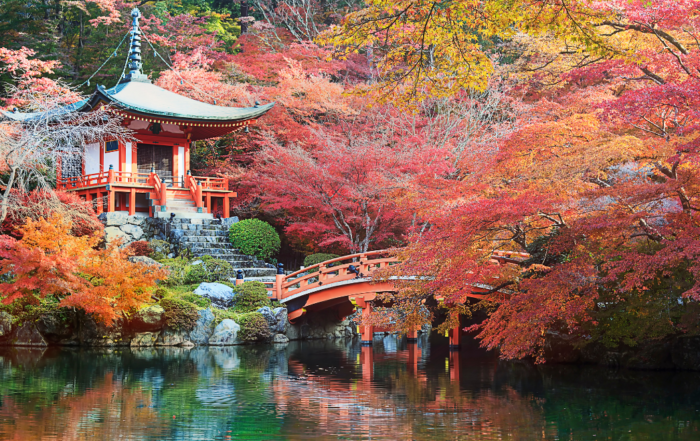 Fall in Love with These Top 10 Autumn Travel Destinations